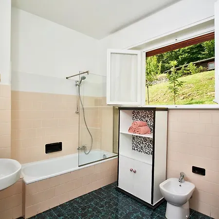 Comova Масльянико